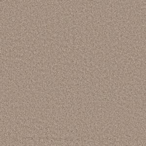 Shaw Floors Value TAKE AWAY (T) - 00101 SUMMER SAND