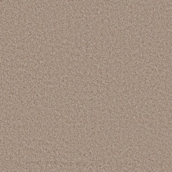 Shaw Floors Value TAKE AWAY (T) - 00101 SUMMER SAND