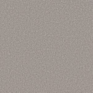 Shaw Floors Value TAKE AWAY (T) - 00500 CHATEAU