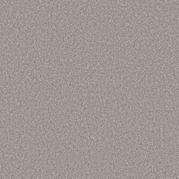 Shaw Floors Value TAKE AWAY (T) - 00500 CHATEAU