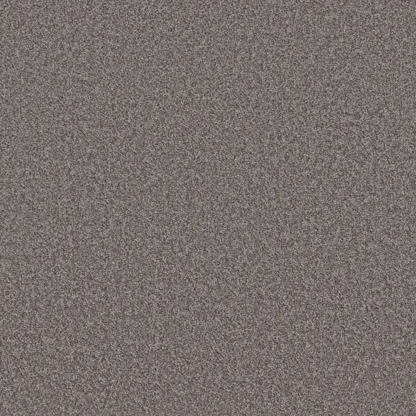 Shaw Floors Value TAKE AWAY (T) - 00501 TRUFFLE