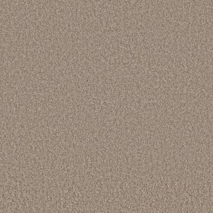 Shaw Floors Value TAKE AWAY (T) - 00700 FRONTIER