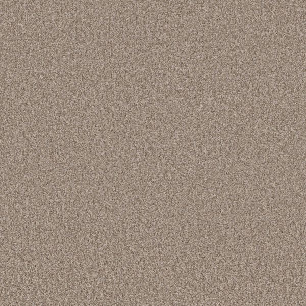 Shaw Floors Value TAKE AWAY (T) - 00700 FRONTIER