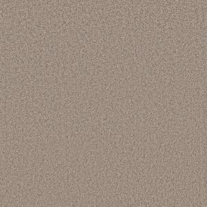 Shaw Floors Value TAKE AWAY (T) - 00701 MULCH