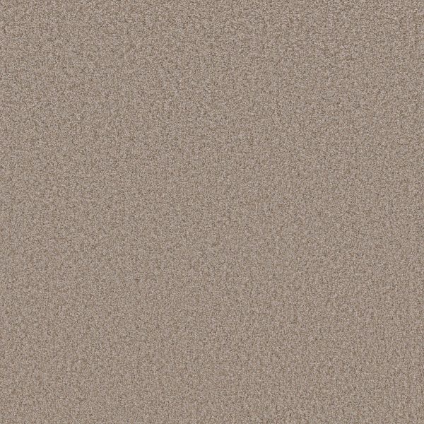 Shaw Floors Value TAKE AWAY (T) - 00701 MULCH