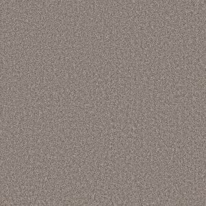 Shaw Floors Value TAKE AWAY (T) - 00702 HAWK