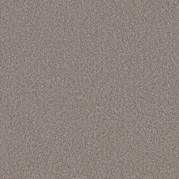 Shaw Floors Value TAKE AWAY (T) - 00702 HAWK