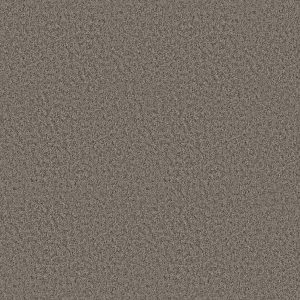 Shaw Floors Value TAKE AWAY (S) - 00502 SHADOW