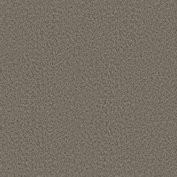 Shaw Floors Value TAKE AWAY (S) - 00502 SHADOW