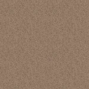 Shaw Floors Value TAKE AWAY (S) - 00701 RAFT