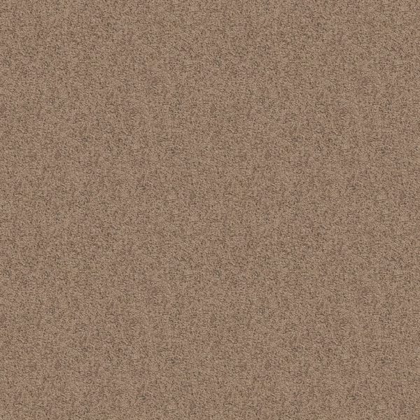Shaw Floors Value TAKE AWAY (S) - 00701 RAFT