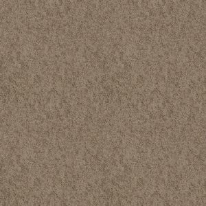 Shaw Floors Value TAKE AWAY (S) - 00702 RIDGE