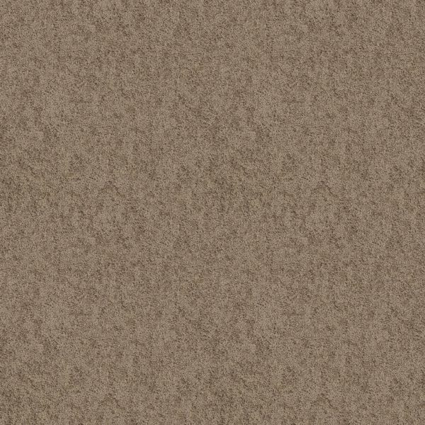 Shaw Floors Value TAKE AWAY (S) - 00702 RIDGE