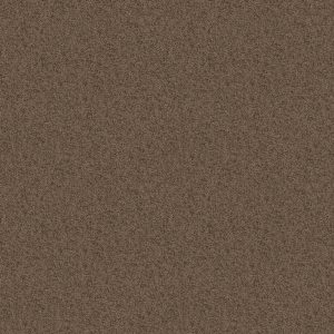 Shaw Floors Value TAKE AWAY (S) - 00703 CANOE