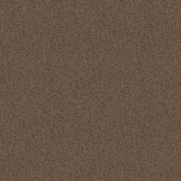 Shaw Floors Value TAKE AWAY (S) - 00703 CANOE