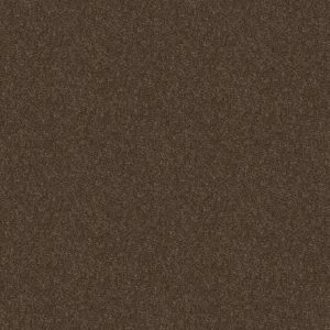Shaw Floors Value TAKE AWAY (S) - 00704 MOCHA