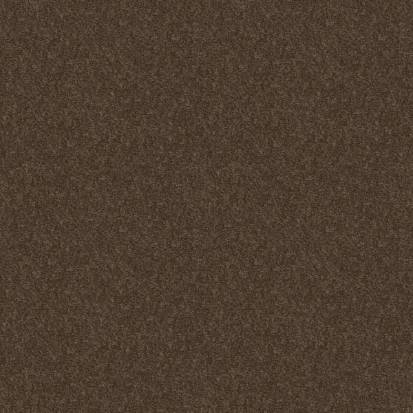 Shaw Floors Value TAKE AWAY (S) - 00704 MOCHA