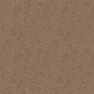 Shaw Floors Value TAKE AWAY (S) - 00714 DAKOTA