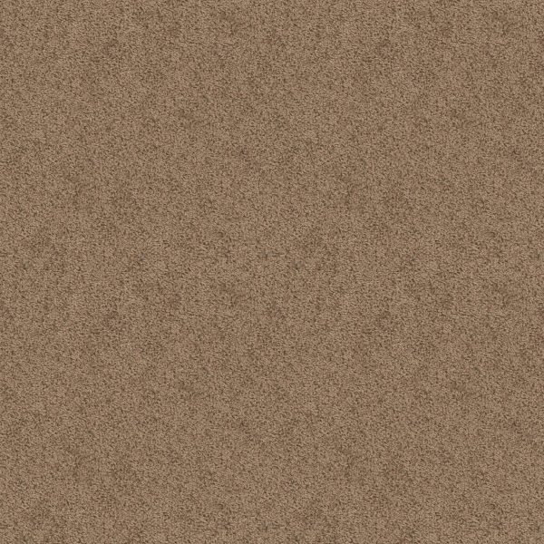 Shaw Floors Value TAKE AWAY (S) - 00714 DAKOTA