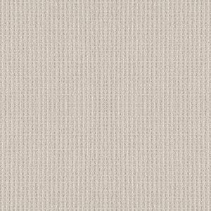 Shaw Floors Retail FRAMED VIEW - 00103 CANVAS