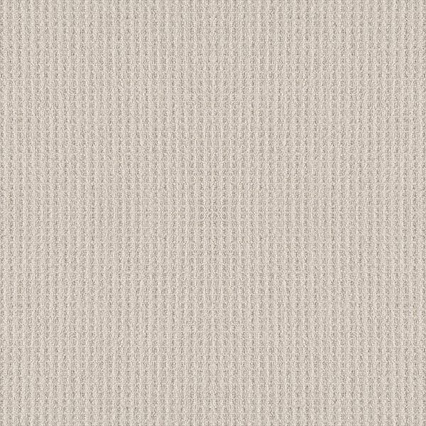 Shaw Floors Retail FRAMED VIEW - 00103 CANVAS