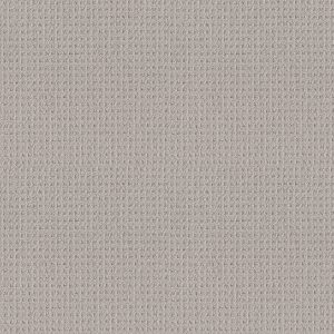 Shaw Floors Retail FRAMED VIEW - 00104 WARM GREIGE