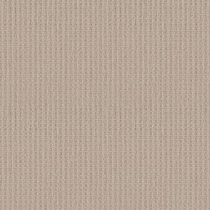 Shaw Floors Retail FRAMED VIEW - 00107 NATURAL WOOD