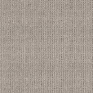 Shaw Floors Retail FRAMED VIEW - 00108 SANDSTONE