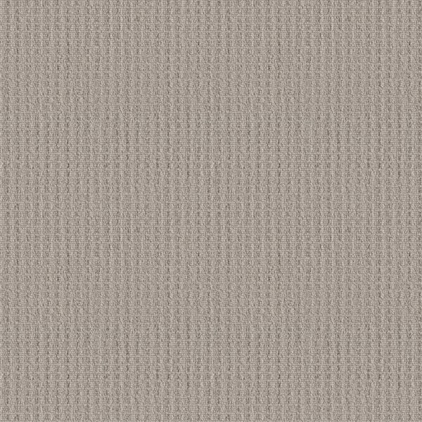 Shaw Floors Retail FRAMED VIEW - 00108 SANDSTONE