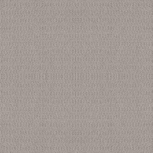 Shaw Floors Retail ICONIC WAY - 00114 ASHEN