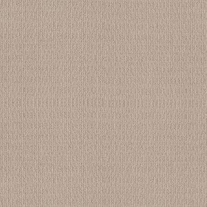 Shaw Floors Retail ICONIC WAY - 00117 MALIBU DUNE
