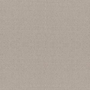 Shaw Floors Retail ICONIC WAY - 00118 BIRCH