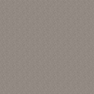 Shaw Floors Retail ICONIC WAY - 00515 ASTEROID