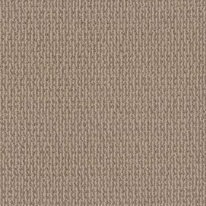 Shaw Floors Retail CRAFTED EMBRACE - 00110 BEIGE BISQUE