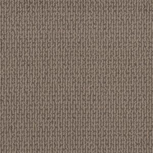 Shaw Floors Retail CRAFTED EMBRACE - 00700 RAW WOOD