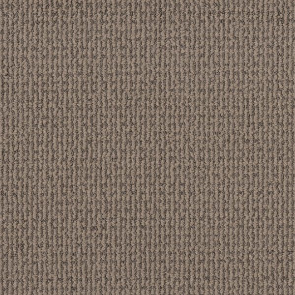 Shaw Floors Retail CRAFTED EMBRACE - 00700 RAW WOOD