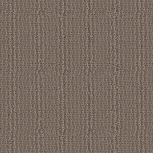 Shaw Floors Retail CRAFTED EMBRACE - 00701 CHESTNUT