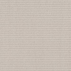 Shaw Floors Retail CHIC ELEVATION - 00103 CHAMPAGNE TOAST