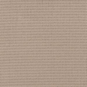 Shaw Floors Retail CHIC ELEVATION - 00107 SUN KISSED