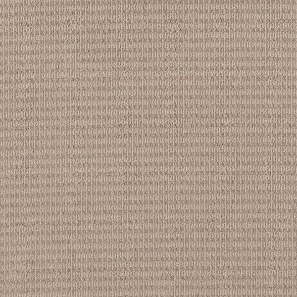 Shaw Floors Retail CHIC ELEVATION - 00107 SUN KISSED