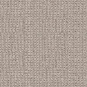 Shaw Floors Retail CHIC ELEVATION - 00108 SANDSTONE