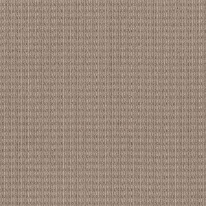 Shaw Floors Retail CHIC ELEVATION - 00109 DARK MAPLE