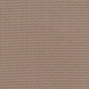 Shaw Floors Retail CHIC ELEVATION - 00110 BEIGE BISQUE