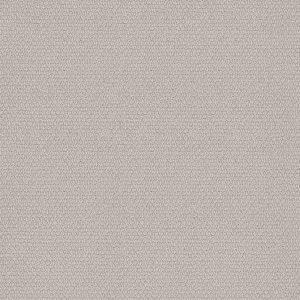 Shaw Floors Retail CHANNELING - 00101 MINIMAL
