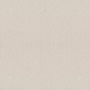 Shaw Floors Retail CHANNELING - 00103 CANVAS