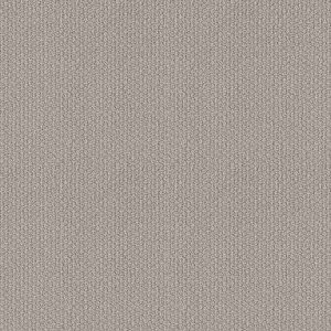 Shaw Floors Retail CHANNELING - 00104 WARM GREIGE