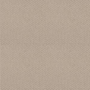 Shaw Floors Retail CHANNELING - 00107 NATURAL WOOD