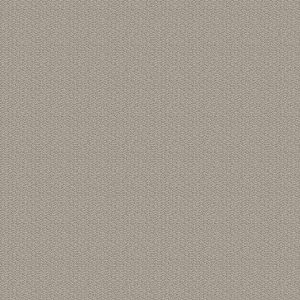 Shaw Floors Retail CHANNELING - 00108 SANDSTONE