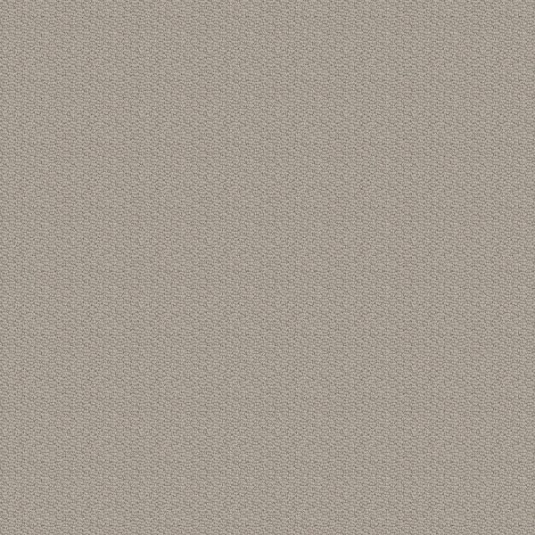 Shaw Floors Retail CHANNELING - 00108 SANDSTONE