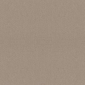 Shaw Floors Retail CHANNELING - 00109 PEBBLE PATH